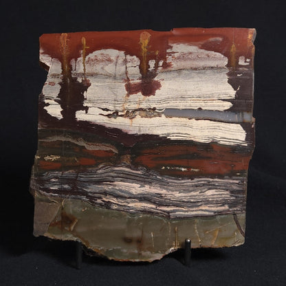 STROMATOLITE, Jerrinah Formation, Proterozoic, Australia 8VA010