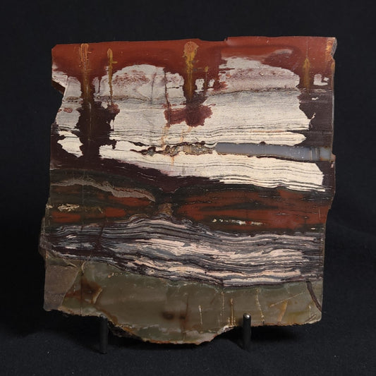 STROMATOLITE, Jerrinah Formation, Proterozoic, Australia 8VA010