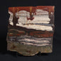 STROMATOLITE, Jerrinah Formation, Proterozoic, Australia 8VA010