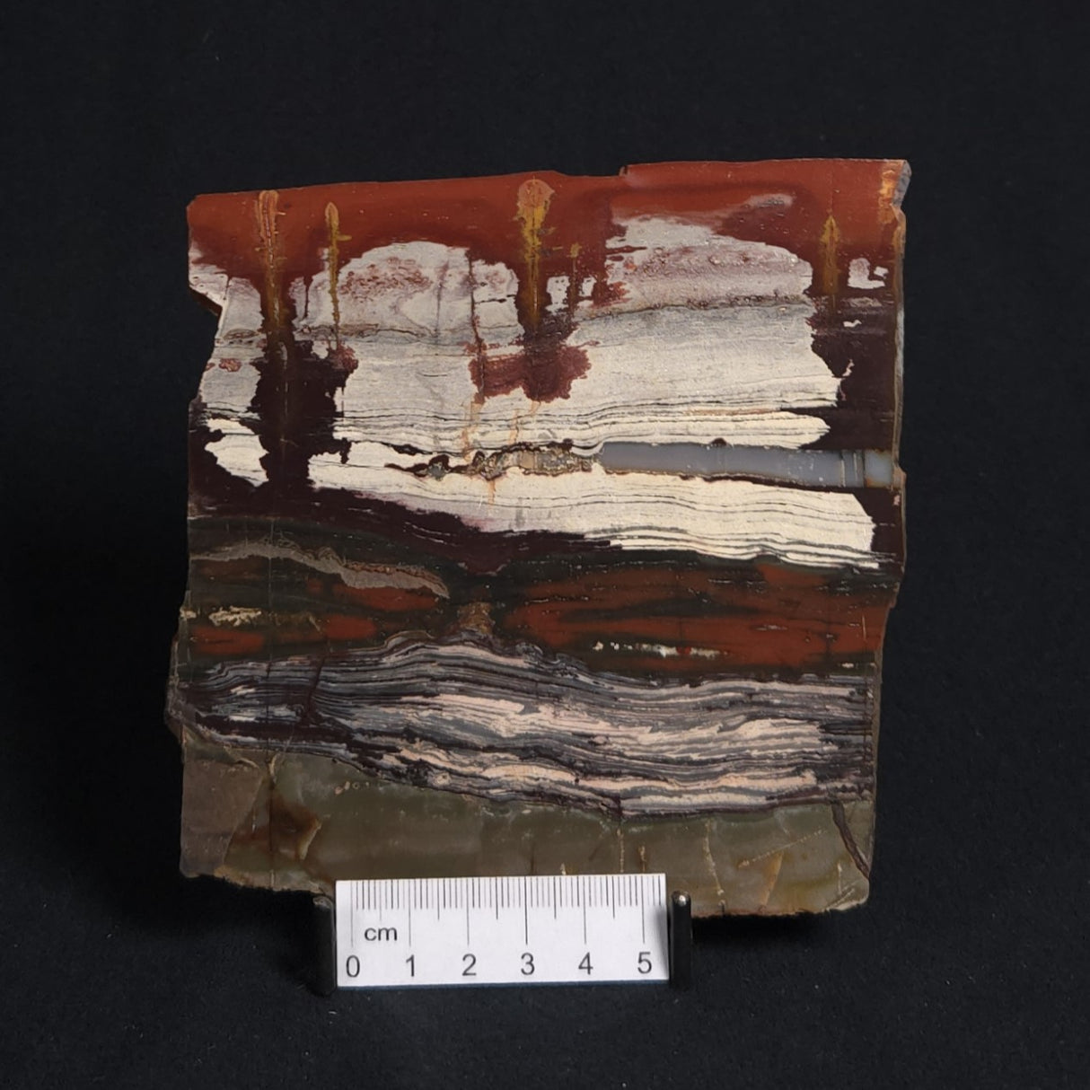 STROMATOLITE, Jerrinah Formation, Proterozoic, Australia 8VA010