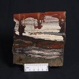 STROMATOLITE, Jerrinah Formation, Proterozoic, Australia 8VA010