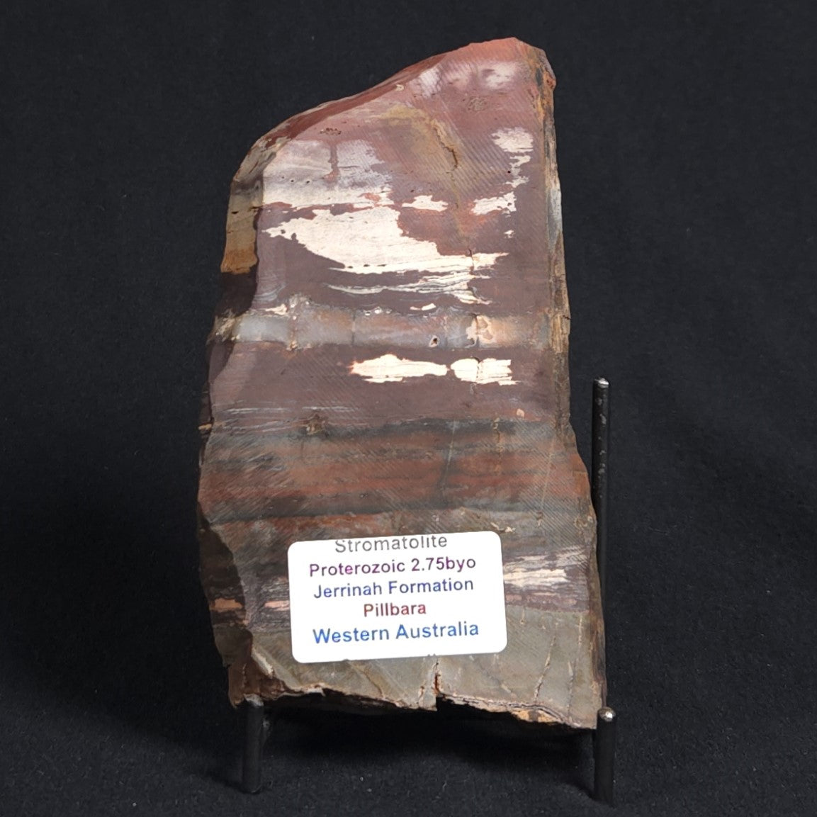 STROMATOLITE, Jerrinah Formation, Proterozoic, Australia 8VA011