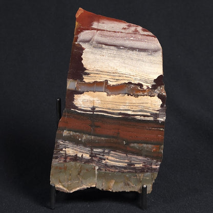 STROMATOLITE, Jerrinah Formation, Proterozoic, Australia 8VA011
