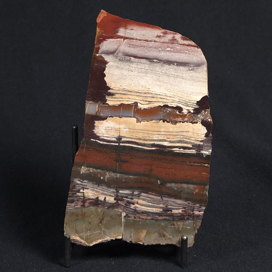 STROMATOLITE, Jerrinah Formation, Proterozoic, Australia 8VA011