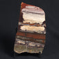 STROMATOLITE, Jerrinah Formation, Proterozoic, Australia 8VA011