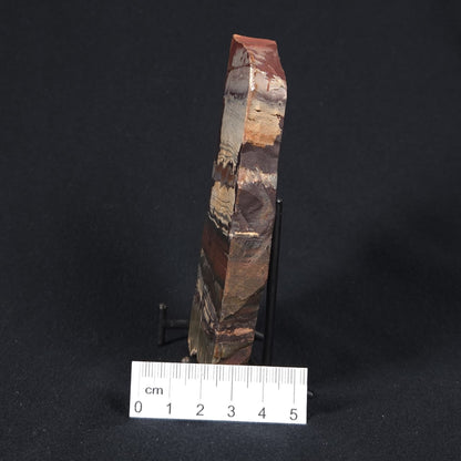 STROMATOLITE, Jerrinah Formation, Proterozoic, Australia 8VA011