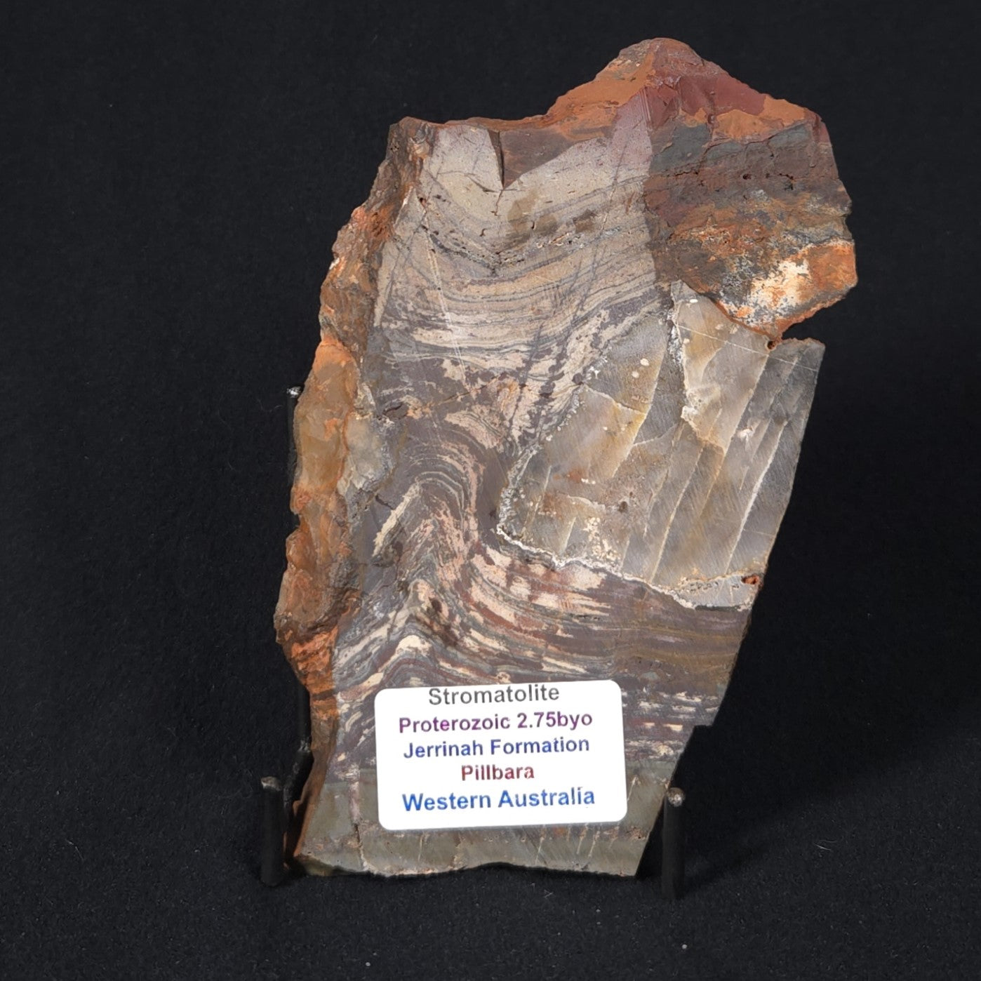STROMATOLITE, Jerrinah Formation, Proterozoic, Australia 8VA012