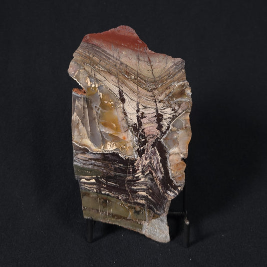 STROMATOLITE, Jerrinah Formation, Proterozoic, Australia 8VA012