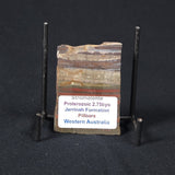 STROMATOLITE, Jerrinah Formation, Proterozoic, Australia 8VA013