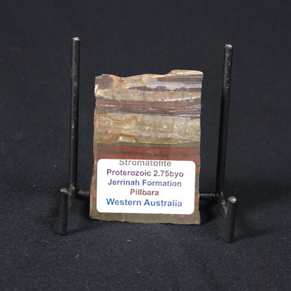 STROMATOLITE, Jerrinah Formation, Proterozoic, Australia 8VA013