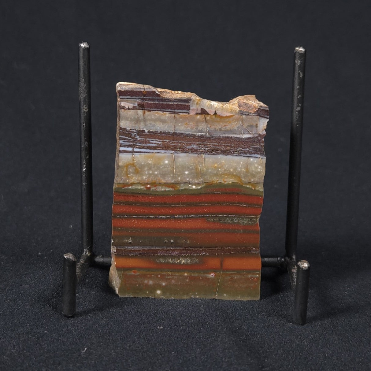 STROMATOLITE, Jerrinah Formation, Proterozoic, Australia 8VA013