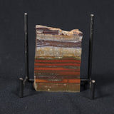 STROMATOLITE, Jerrinah Formation, Proterozoic, Australia 8VA013