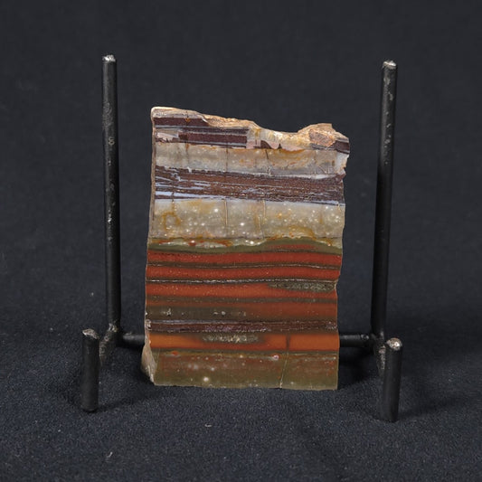 STROMATOLITE, Jerrinah Formation, Proterozoic, Australia 8VA013