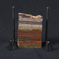 STROMATOLITE, Jerrinah Formation, Proterozoic, Australia 8VA013
