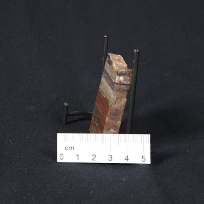 STROMATOLITE, Jerrinah Formation, Proterozoic, Australia 8VA013
