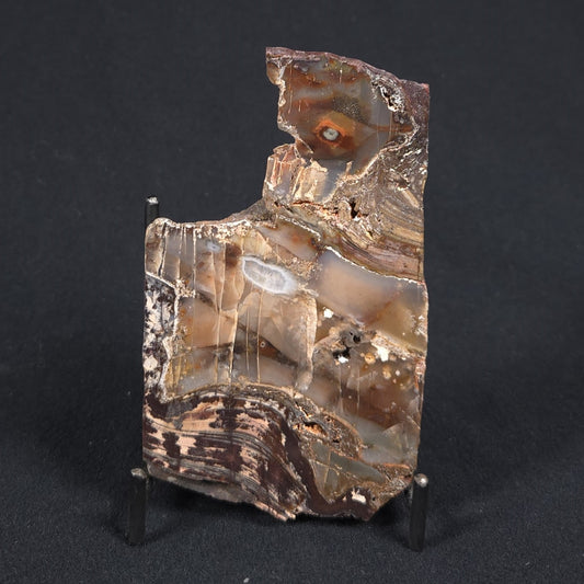 STROMATOLITE, Jerrinah Formation, Proterozoic, Australia 8VA014