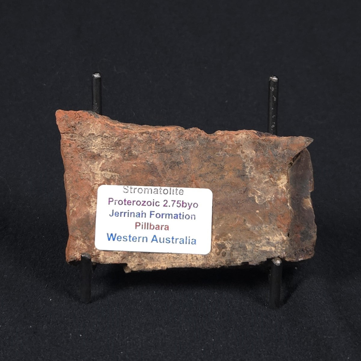 STROMATOLITE, Jerrinah Formation, Proterozoic, Australia 8VA015