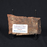 STROMATOLITE, Jerrinah Formation, Proterozoic, Australia 8VA015