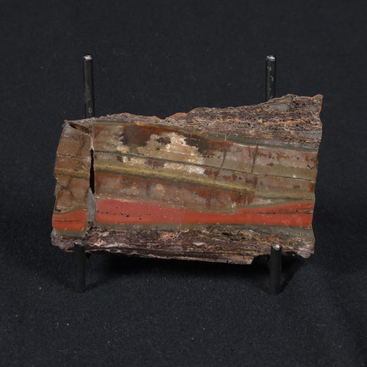 STROMATOLITE, Jerrinah Formation, Proterozoic, Australia 8VA015
