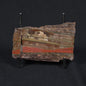 STROMATOLITE, Jerrinah Formation, Proterozoic, Australia 8VA015