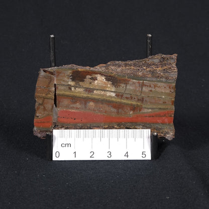 STROMATOLITE, Jerrinah Formation, Proterozoic, Australia 8VA015