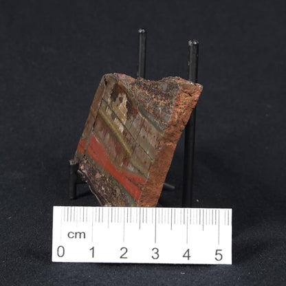 STROMATOLITE, Jerrinah Formation, Proterozoic, Australia 8VA015