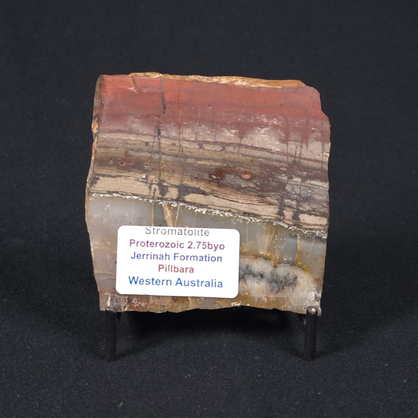 STROMATOLITE, Jerrinah Formation, Proterozoic, Australia 8VA016