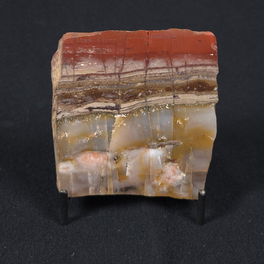 STROMATOLITE, Jerrinah Formation, Proterozoic, Australia 8VA016