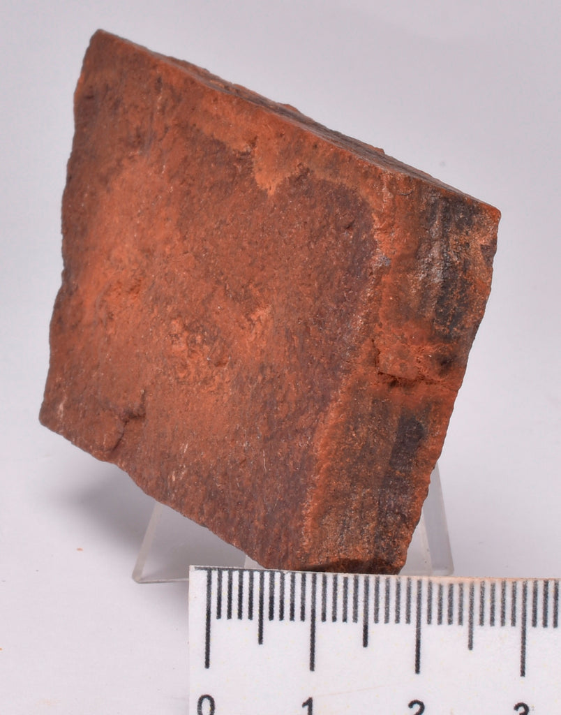 HORODYSKIA Mesoproterozoic 1.4 B.Y.O, AUSTRALIAN FOSSIL F14 Crystal