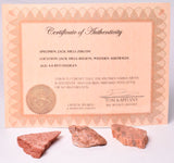 3 x ZIRCON, Metaconglomerate Narryer Gneiss, Jack Hills, Australia S502