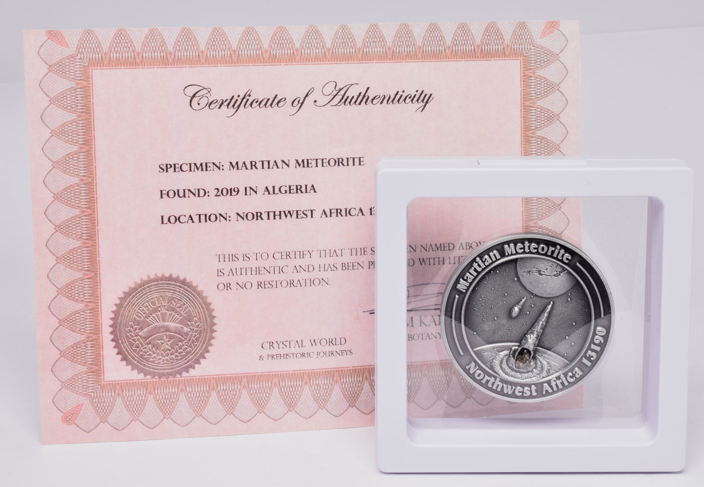 MARTIAN METEORITE in COLLECTORS COIN, NORTH WEST AFRICA 13190 MT99