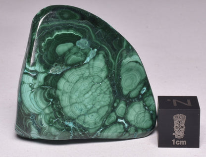 Chrysocolla and Malachite Polished Crystal Tumble P2026