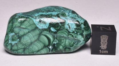Chrysocolla and Malachite Polished Crystal Tumble P2026