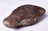 MUNDRABILLA IRON METEORITE, Western Australia MT250