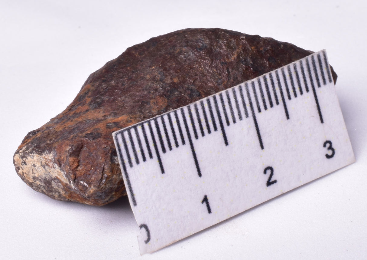 MUNDRABILLA IRON METEORITE, Western Australia MT250