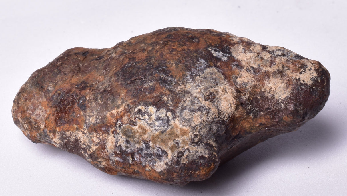 MUNDRABILLA IRON METEORITE, Western Australia MT250