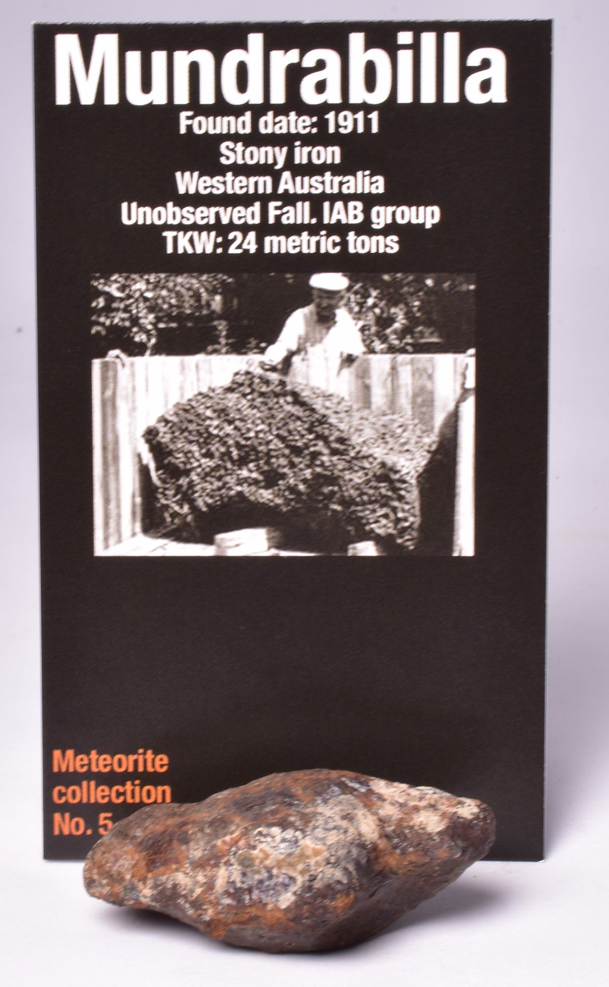 MUNDRABILLA IRON METEORITE, Western Australia MT250