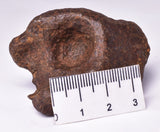 MUNDRABILLA IRON METEORITE, Western Australia MT251