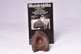 MUNDRABILLA IRON METEORITE, Western Australia MT251