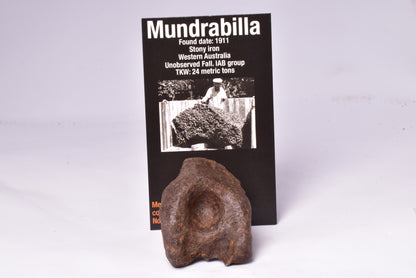 MUNDRABILLA IRON METEORITE, Western Australia MT251