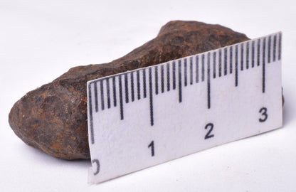 MUNDRABILLA IRON METEORITE, Western Australia MT252