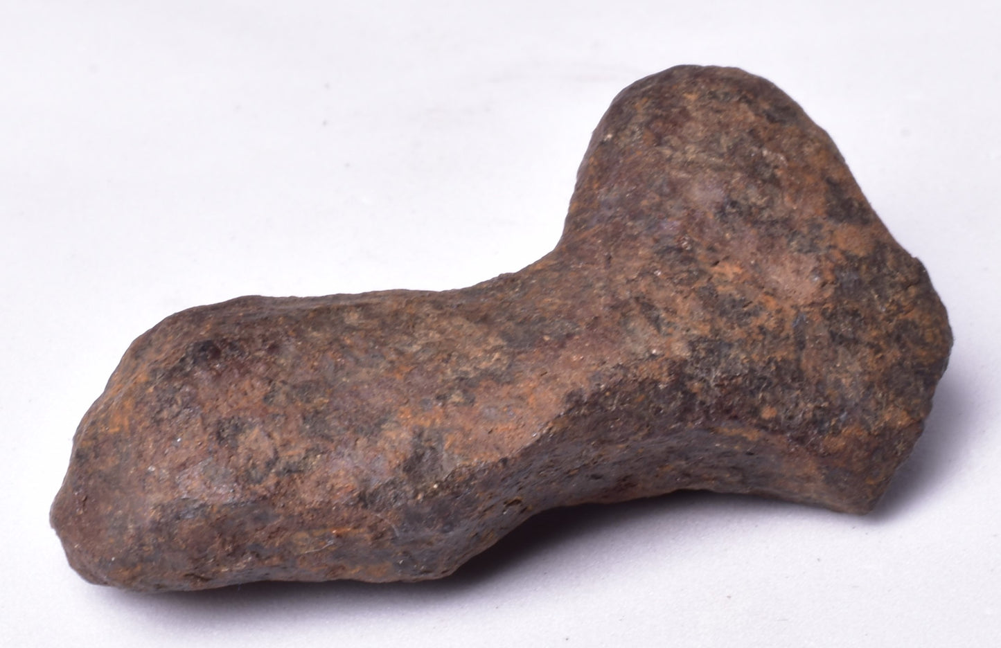 MUNDRABILLA IRON METEORITE, Western Australia MT252