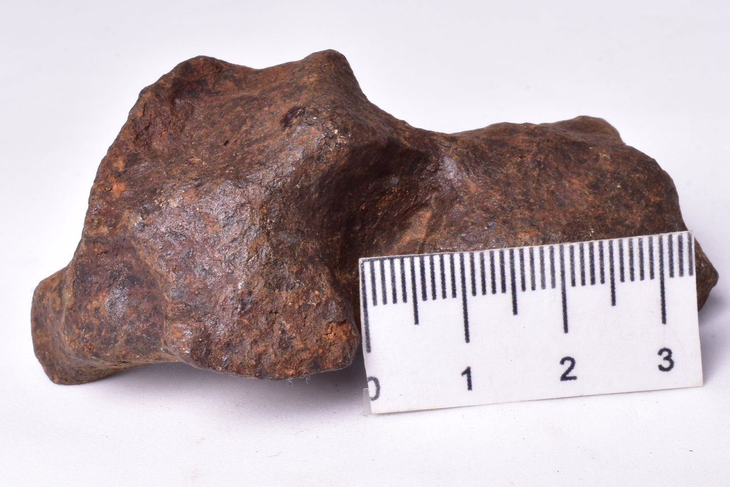 MUNDRABILLA IRON METEORITE, Western Australia MT253