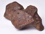MUNDRABILLA IRON METEORITE, Western Australia MT253