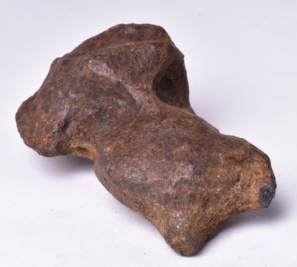 MUNDRABILLA IRON METEORITE, Western Australia MT253