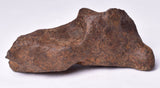 MUNDRABILLA IRON METEORITE, Western Australia MT253