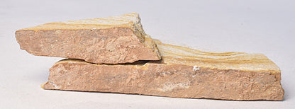 TRILOBITE FOSSIL PAIR , Odontopleura markhami. Forbes, NSW, Australia F388