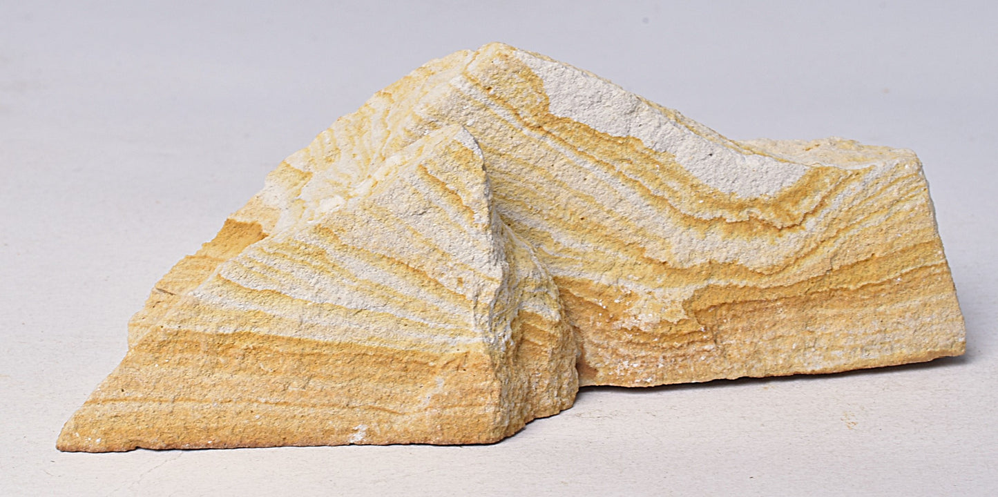 TRILOBITE FOSSIL PAIR , Odontopleura markhami. Forbes, NSW, Australia F388