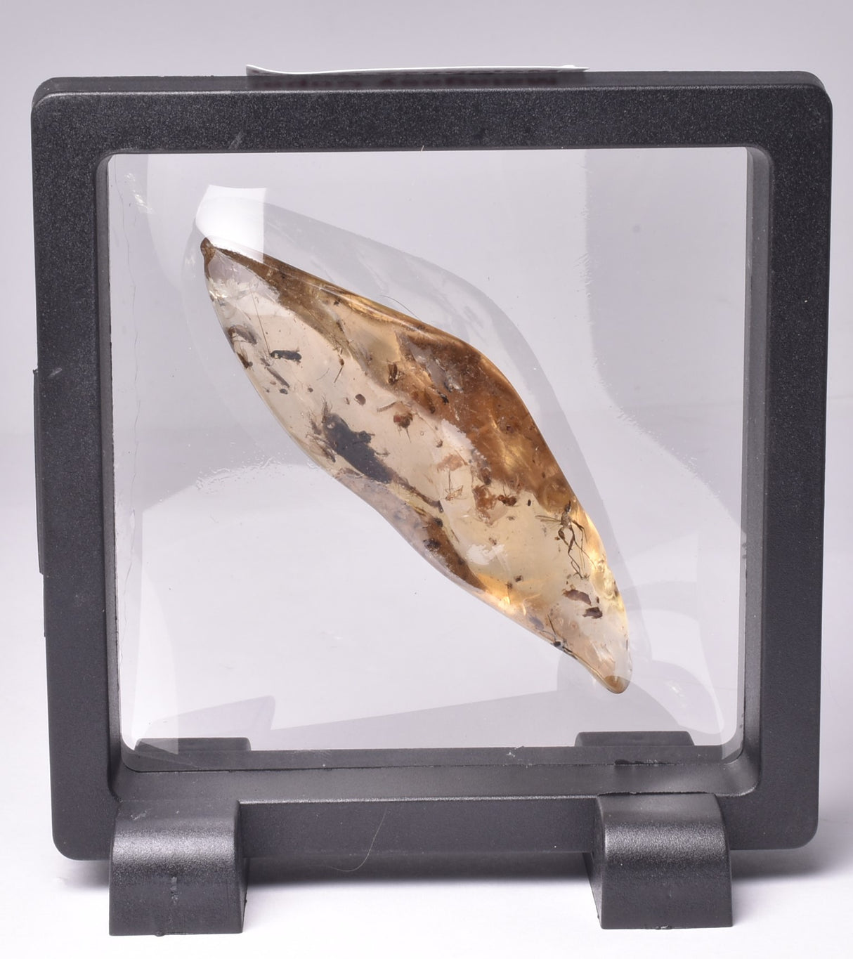 MALAGASY COPAL WITH INSECTS, HOLOCENE, MADAGASCAR F638