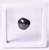 AUSTRALITE, METEORITE 6.7 grams FROM SOUTH AUSTRALIA MT258